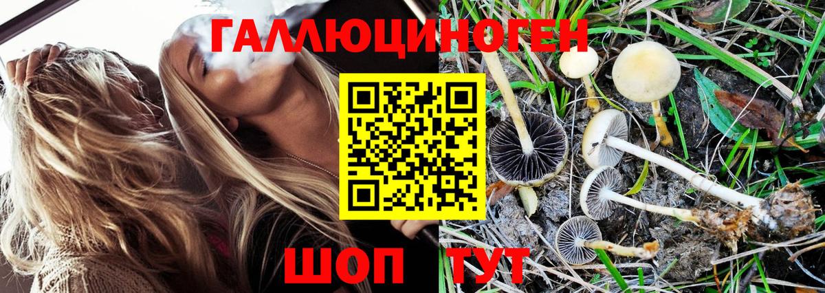 Псилоцибиновые грибы Magic Shrooms  Вход с VPN  Долгопрудный 