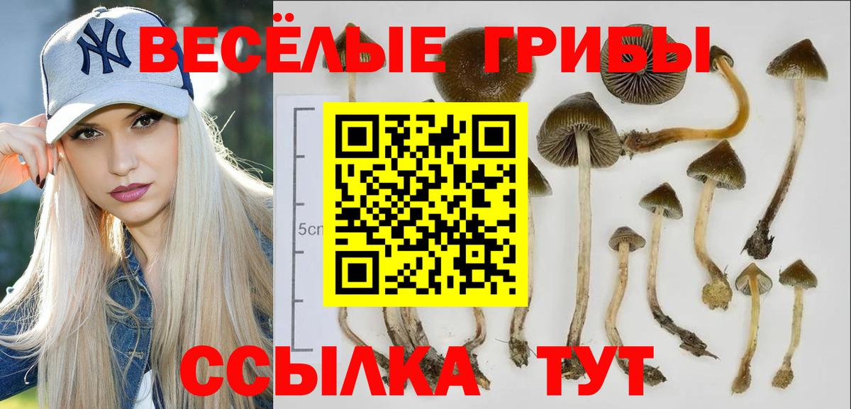 Меф  ГАШ  Канабис  Вход с VPN  Долгопрудный  Меф  