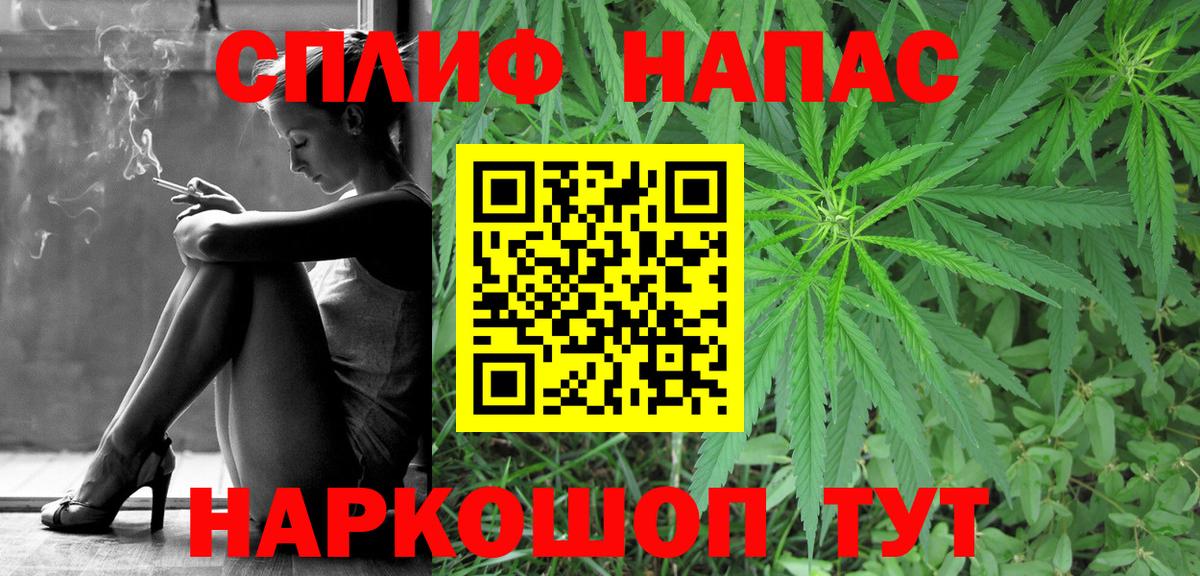 Бошки марихуана сатива Долгопрудный